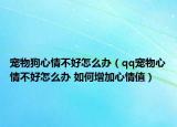 宠物狗心情不好怎么办（qq宠物心情不好怎么办 如何增加心情值）