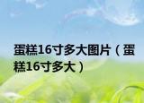 蛋糕16寸多大图片（蛋糕16寸多大）