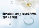 海明威死在哪里（海明威为什么自杀 4个原因）