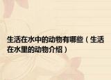 生活在水中的动物有哪些（生活在水里的动物介绍）