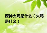 原神火鸡是什么（火鸡是什么）