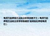 龟背竹的养殖方法和注意事项君子兰（龟背竹的养殖方法和注意事项有哪些 如何轻松养殖龟背竹）
