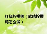 红烧柠檬鸭（武鸣柠檬鸭怎么做）