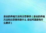 金钻的养殖方法和注意事项（金钻的养殖方法和注意事项是什么 金钻对温度有什么要求）