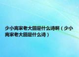 少小离家老大回是什么诗啊（少小离家老大回是什么诗）