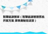 智慧能源管家（智慧能源管理系统开发方案 原来奥秘在这里）