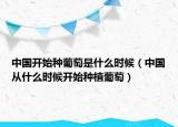 中国开始种葡萄是什么时候（中国从什么时候开始种植葡萄）