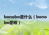 bonobo是什么（bonobo是啥）
