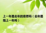 上一年是去年的意思吗（去年是指上一年吗）