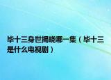 毕十三身世揭晓哪一集（毕十三是什么电视剧）