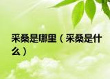采桑是哪里（采桑是什么）