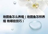 地图鱼怎么养殖（地图鱼怎样养殖 有哪些技巧）