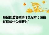 属猪的适合佩戴什么招财（属猪的佩戴什么最旺财）