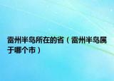 雷州半岛所在的省（雷州半岛属于哪个市）