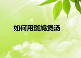 如何用斑鸠煲汤