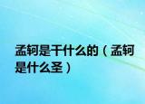 孟轲是干什么的（孟轲是什么圣）