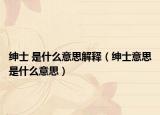 绅士 是什么意思解释（绅士意思是什么意思）