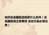 如何去美国旅游需要什么条件（去美国旅游注意事项 这些方面必须注意）