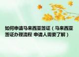 如何申请马来西亚签证（马来西亚签证办理流程 申请人需要了解）
