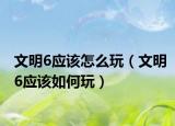文明6应该怎么玩（文明6应该如何玩）