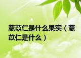薏苡仁是什么果实（薏苡仁是什么）