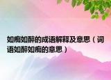 如痴如醉的成语解释及意思（词语如醉如痴的意思）