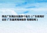 想去广东海边玩推荐个地方（广东看海好去处 广东最美海滩推荐 有哪些呢）