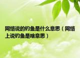 网络说的钓鱼是什么意思（网络上说钓鱼是啥意思）