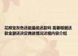 花呗变灰色还能最低还款吗 需要根据还款金额还决定具体情况详细内容介绍