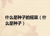什么是种子的摇篮（什么是种子）
