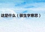 这是什么（骇生字意思）