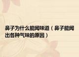 鼻子为什么能闻味道（鼻子能闻出各种气味的原因）