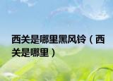 西关是哪里黑风铃（西关是哪里）
