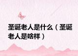 圣诞老人是什么（圣诞老人是啥样）