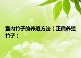 室内竹子的养殖方法（正确养殖竹子）
