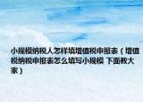 小规模纳税人怎样填增值税申报表（增值税纳税申报表怎么填写小规模 下面教大家）