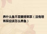 养什么鱼不需要增氧泵（没有增氧泵应该怎么养鱼）