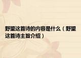 野望这首诗的内容是什么（野望这首诗主旨介绍）