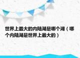 世界上最大的内陆湖是哪个湖（哪个内陆湖是世界上最大的）