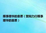 踵事增华的意思（致知力行踵事增华的意思）