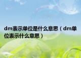 dm表示单位是什么意思（dm单位表示什么意思）