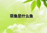 草鱼是什么鱼
