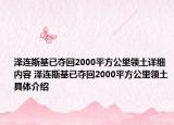 泽连斯基已夺回2000平方公里领土详细内容 泽连斯基已夺回2000平方公里领土具体介绍