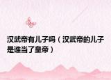 汉武帝有儿子吗（汉武帝的儿子是谁当了皇帝）