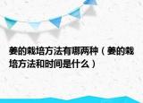 姜的栽培方法有哪两种（姜的栽培方法和时间是什么）