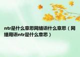 ntr是什么意思网络语什么意思（网络用语ntr是什么意思）