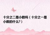 十分之二是小数吗（十分之一是小数的什么?）