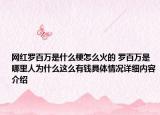 网红罗百万是什么梗怎么火的 罗百万是哪里人为什么这么有钱具体情况详细内容介绍