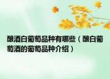 酿酒白葡萄品种有哪些（酿白葡萄酒的葡萄品种介绍）
