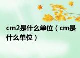 cm2是什么单位（cm是什么单位）